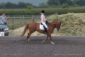 ISIS Dressage Challenge 2008